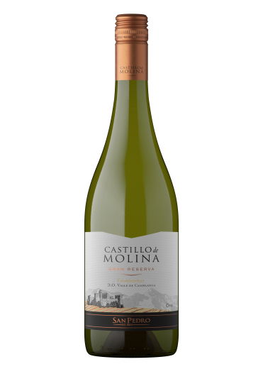 castillo de molina reserva chardonnay